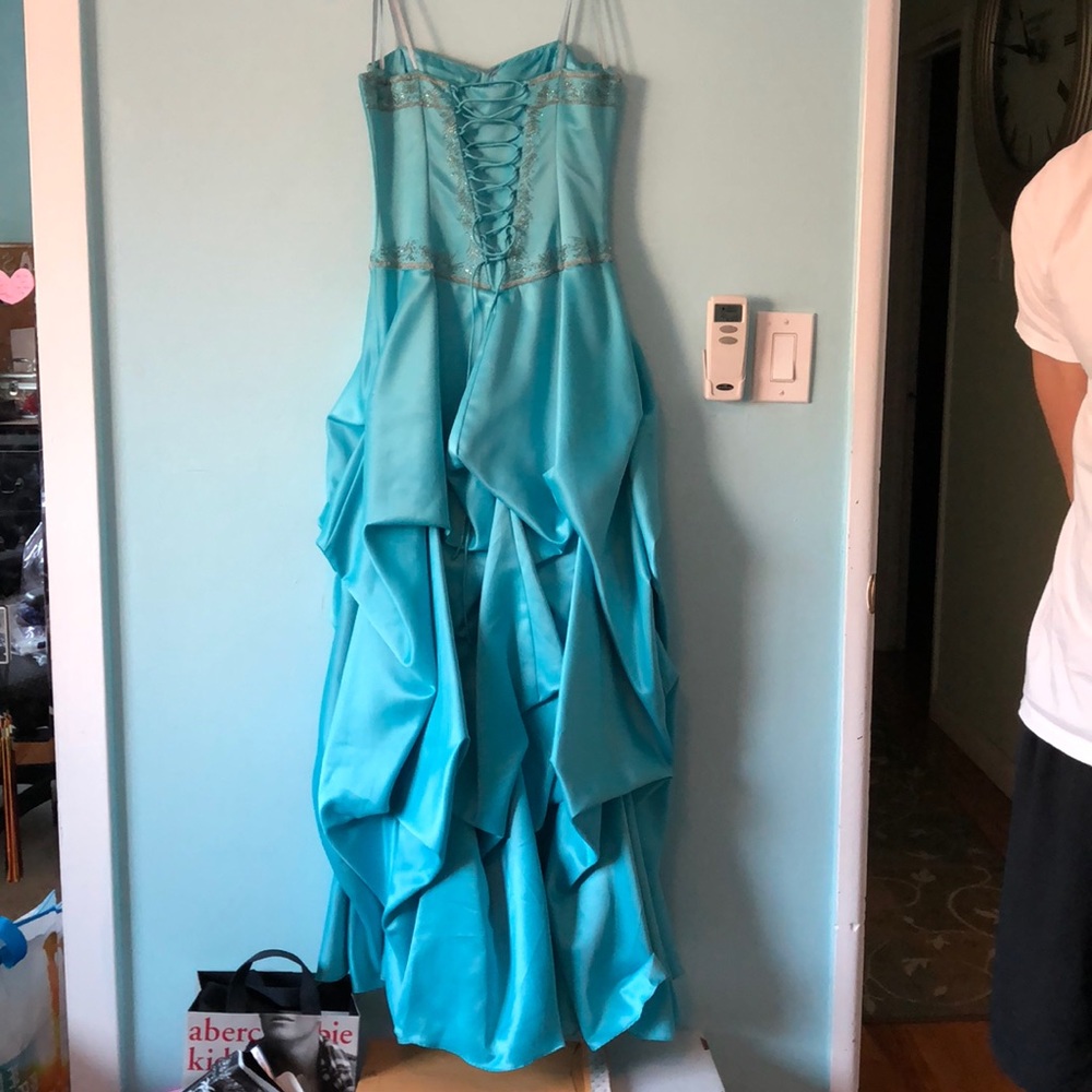 Blue Cinderella-like Floor length Gown